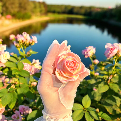 Hand holding a pink marshmallow rose, outdoors by a lake with blooming flowers and greenery in the background.