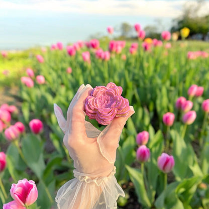 A single pink rose presented in a person's hand with a beautiful floral background including pink flowers, slightly blurred background.