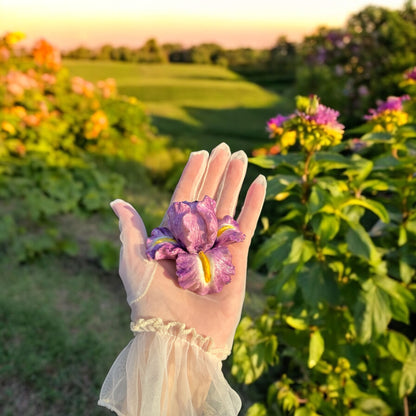 Hand holding a purple marshmallow flower resembling an iris, outdoors in a garden with greenery and flowers in the background.