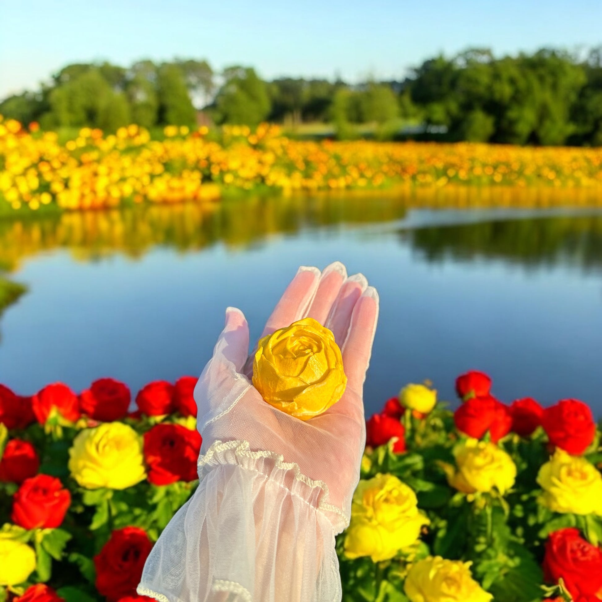 A single yellow rose presented in a person's hand with a beautiful floral background including red and yellow flowers, and a body of water reflecting the sky.